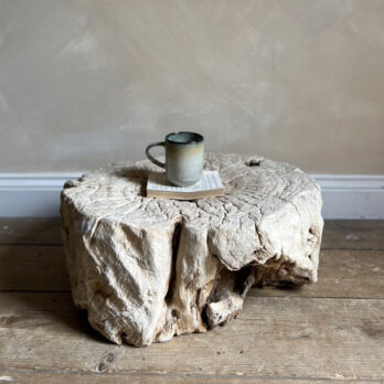 Tree root low table | Sebastian