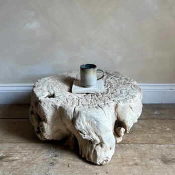 Tree root low table | Sebastian