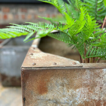 Vintage water tank planter