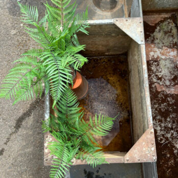 Vintage water tank planter