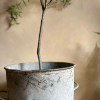 Vintage round tree planter