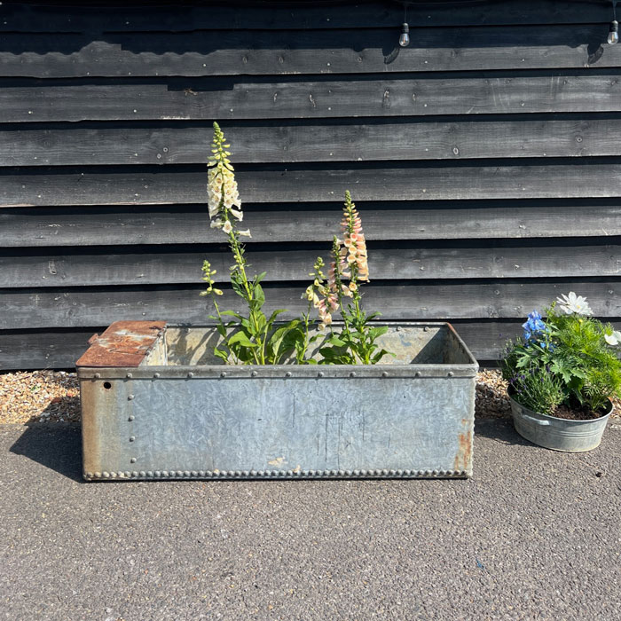 Vintage riveted trough planter | A