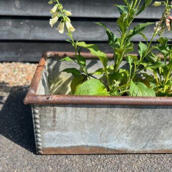 Vintage riveted trough planter | C