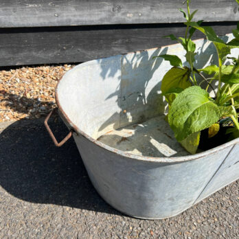 Vintage Galvanised Oval Bath
