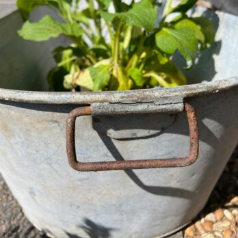 Vintage Galvanised Oval Bath
