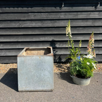 Vintage water tank planter | AVintage water tank planter | A