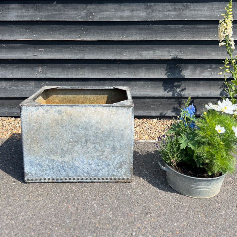 Vintage water tank planter | B
