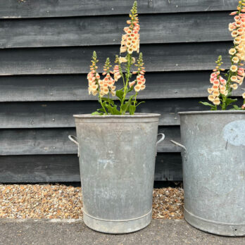 Vintage round Tree planter