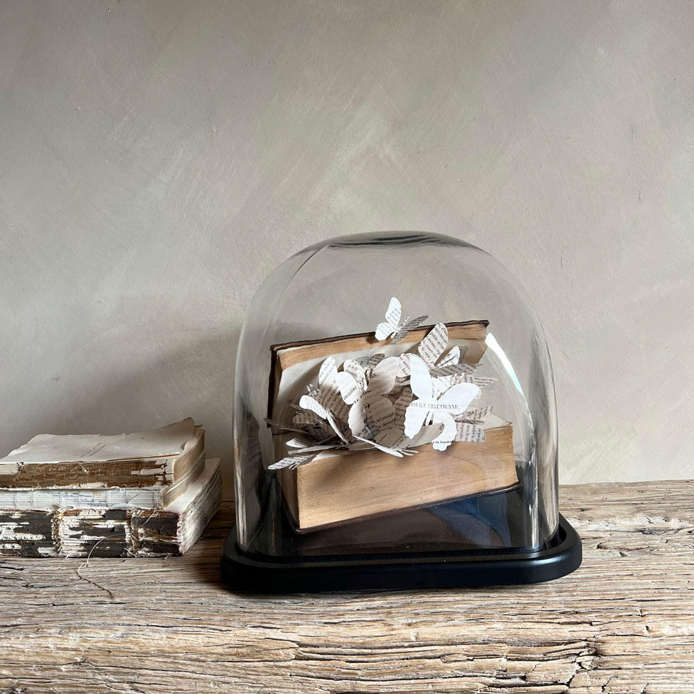 Vintage book dome butterflies