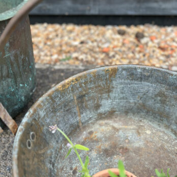 Large Round Brass Pot with Handle