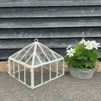 Antique Georgian Garden Cloche