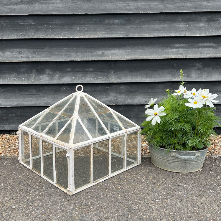 Antique Georgian Garden Cloche