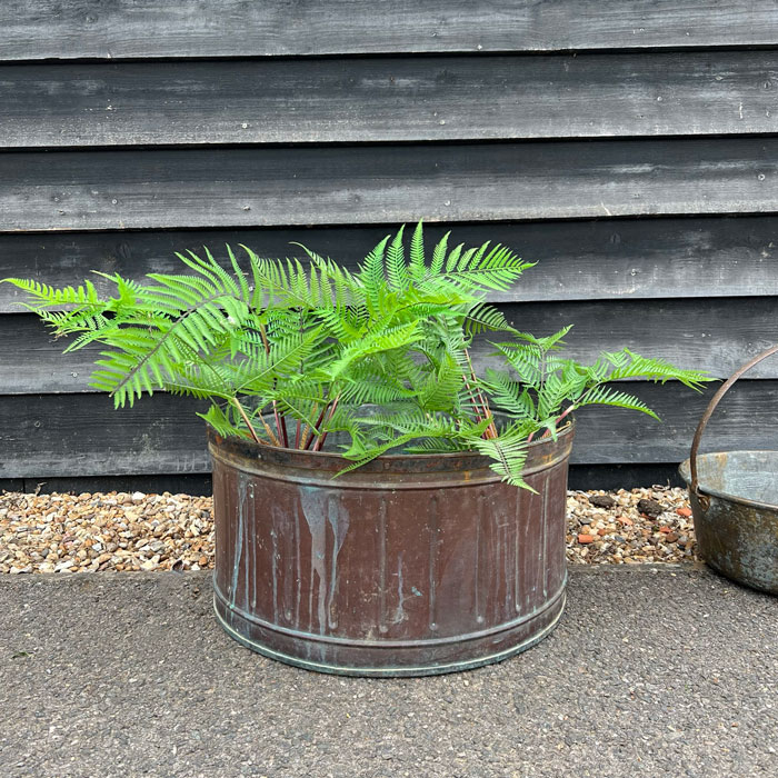 Large Antique copper Planter