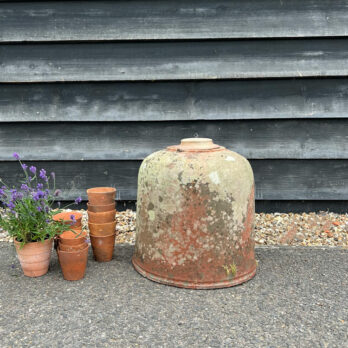 Antique 1900s Rhubard Forcer