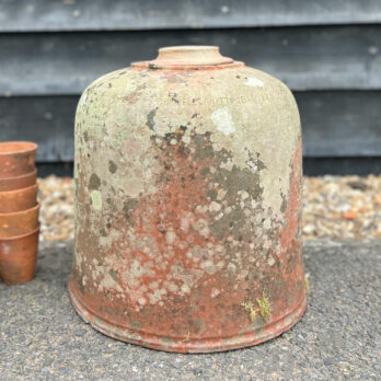 Antique 1900s Rhubard Forcer