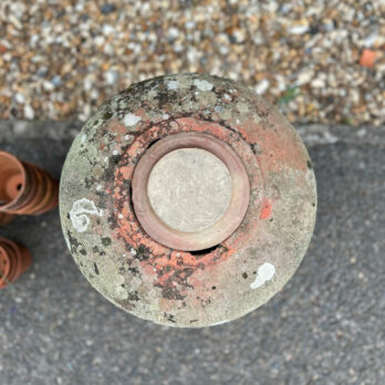 Antique 1900s Rhubard Forcer