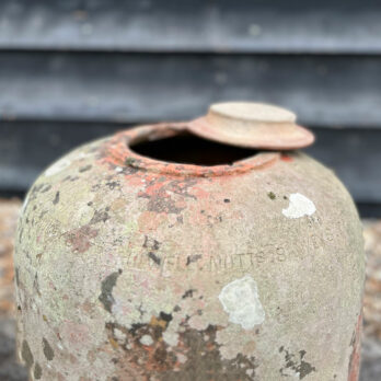 Antique 1900s Rhubard ForcerAntique 1900s Rhubard Forcer