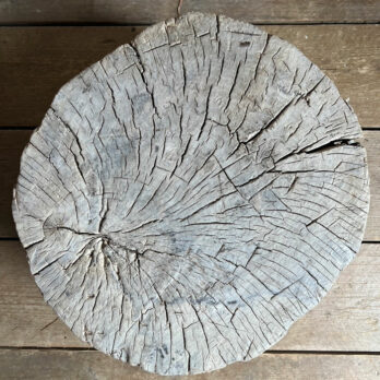 Tree trunk low table | Seaton