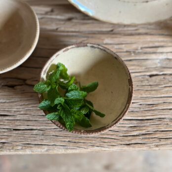 Antique Puglian ceramic bowl No:8