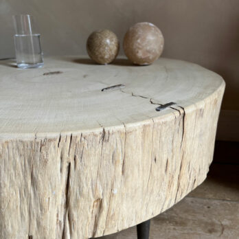 Tree trunk coffee table | Elyna