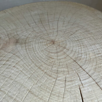 Tree trunk coffee table | Aurelie