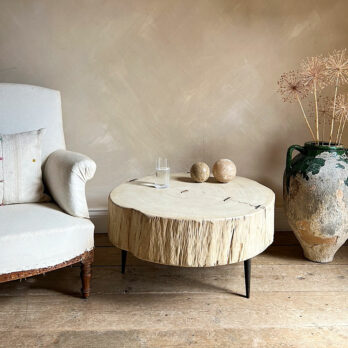 Tree trunk coffee table | Elyna