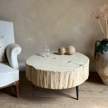 Tree trunk coffee table | Elyna