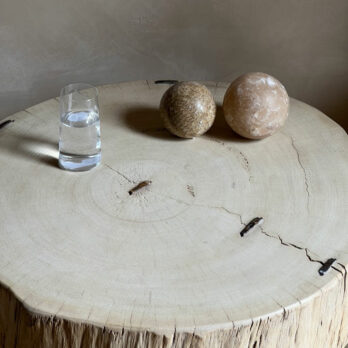 Tree trunk coffee table | Elyna