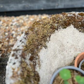 Vintage Sandstone Garden Planter