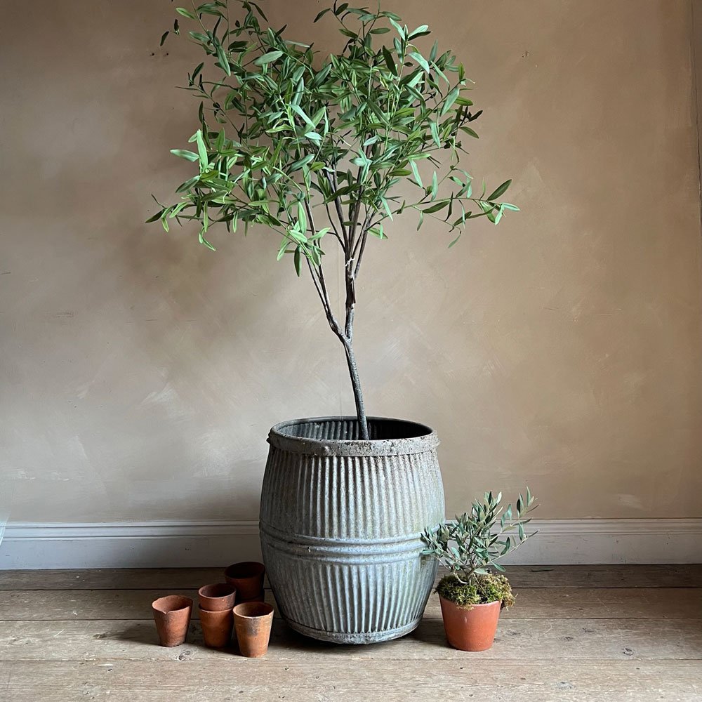 Antique Dolly Tub Horizontal Line