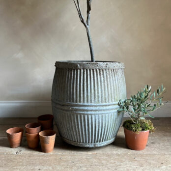 Antique Dolly Tub Horizontal Line