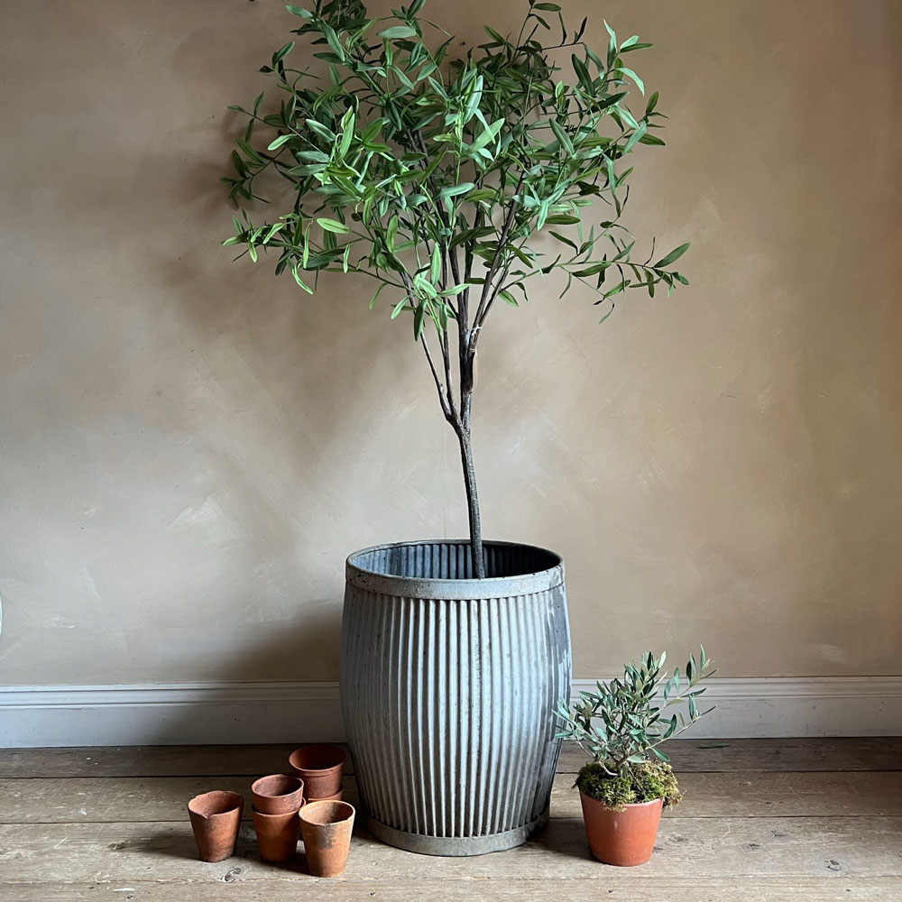 Antique dolly tub straight lines