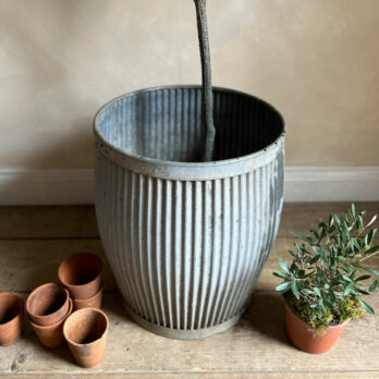 Antique dolly tub straight lines