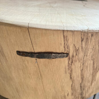 Tree Trunk Coffee Table Polzeath
