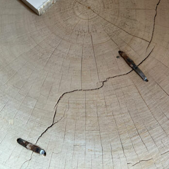 Tree Trunk Coffee Table Polzeath