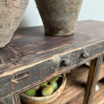 Antique rustic shop counter Elena