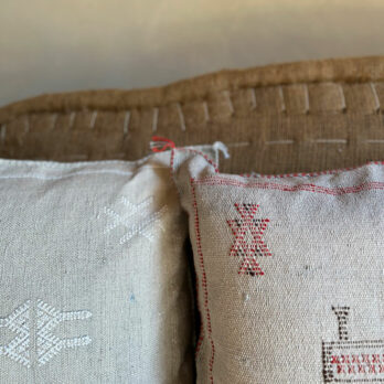 Biege cactus silk cushion