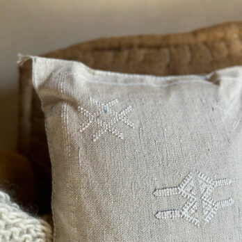 Biege cactus silk cushion