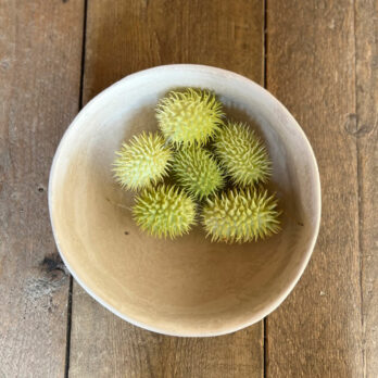 Stoneware Neutral Bowl | F