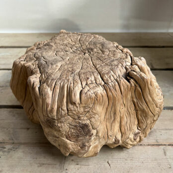 Small root wood antique tree stump Ingrid
