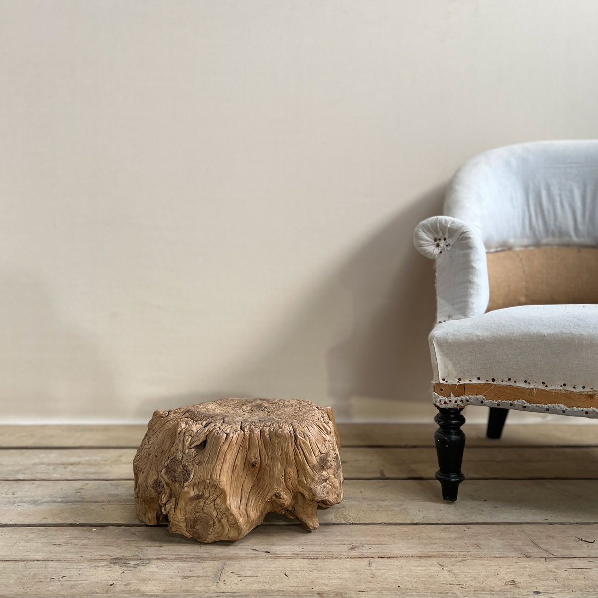 Small root wood antique tree stump Ingrid