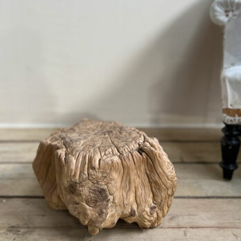 Small root wood antique tree stump Ingrid