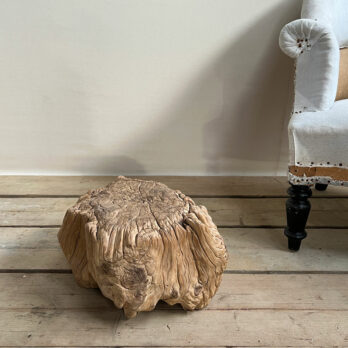 Small root wood antique tree stump Ingrid