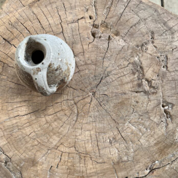 Large tree trunk side table Iris