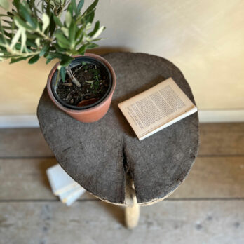 Antique French chopping block | Sabine