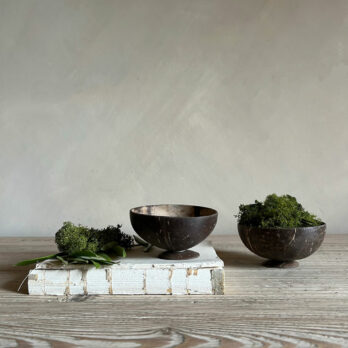 Small Coconut dish