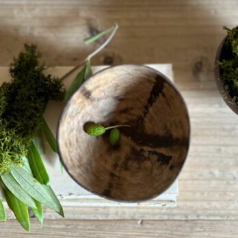 Small Coconut dish