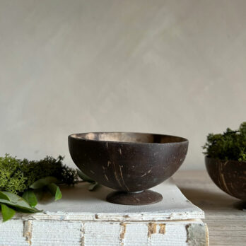 Small Coconut dish