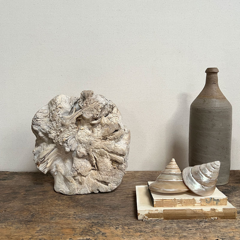 Small root wood antique tree stump | B