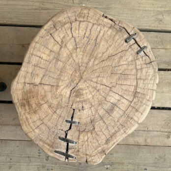 Large tree trunk side table | Bruno